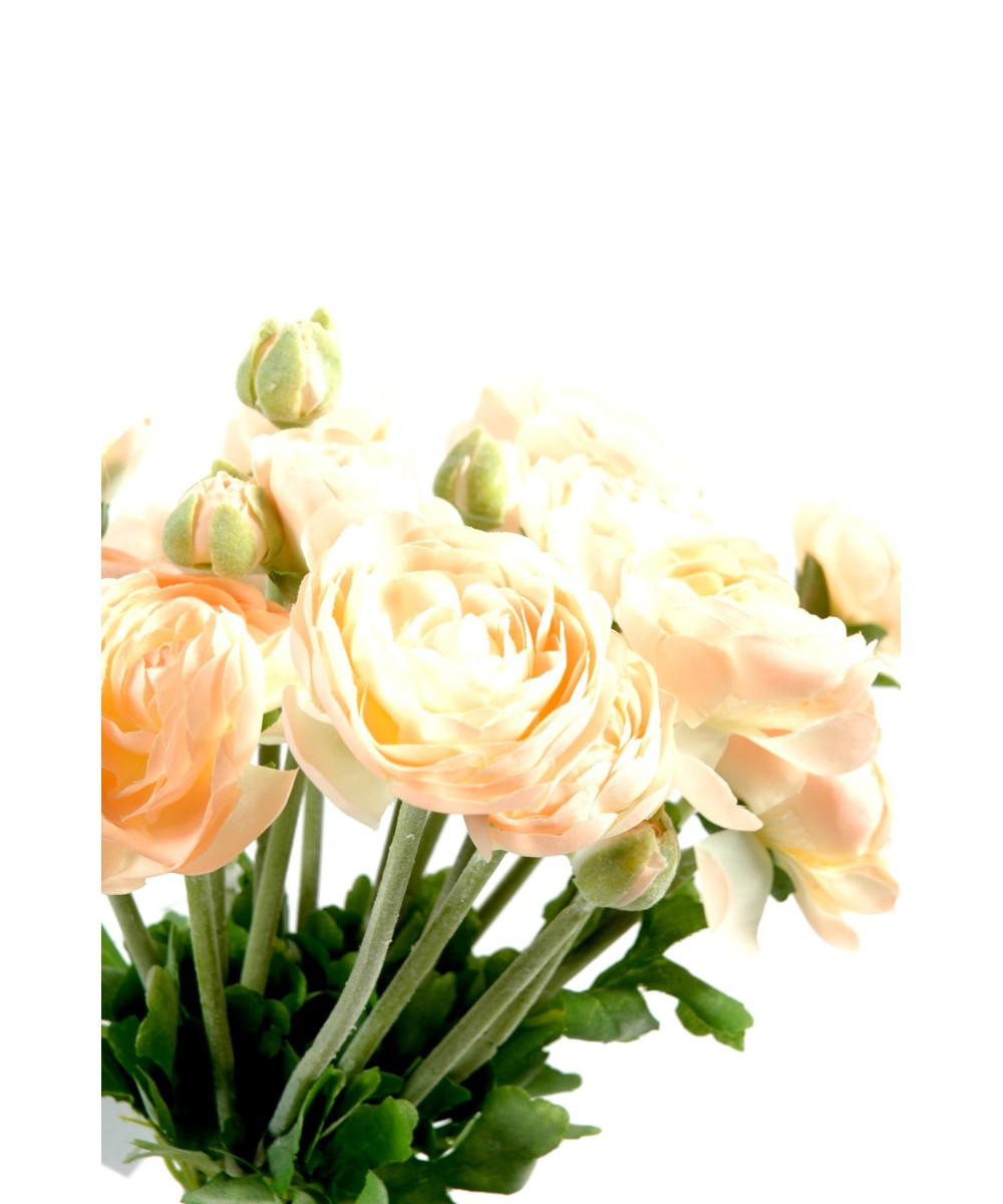 BOUQUET RANUNCULUS (Buttercup) (Net promotional price)