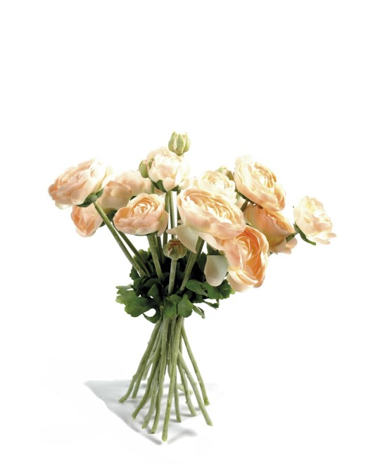 KIMP RANUNCULUS (Tulikas) (Soodushind)