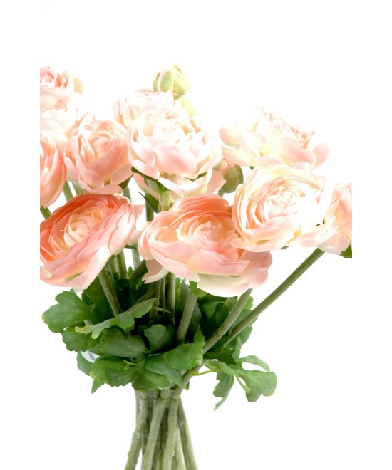 KIMP RANUNCULUS (Tulikas) (Soodushind)