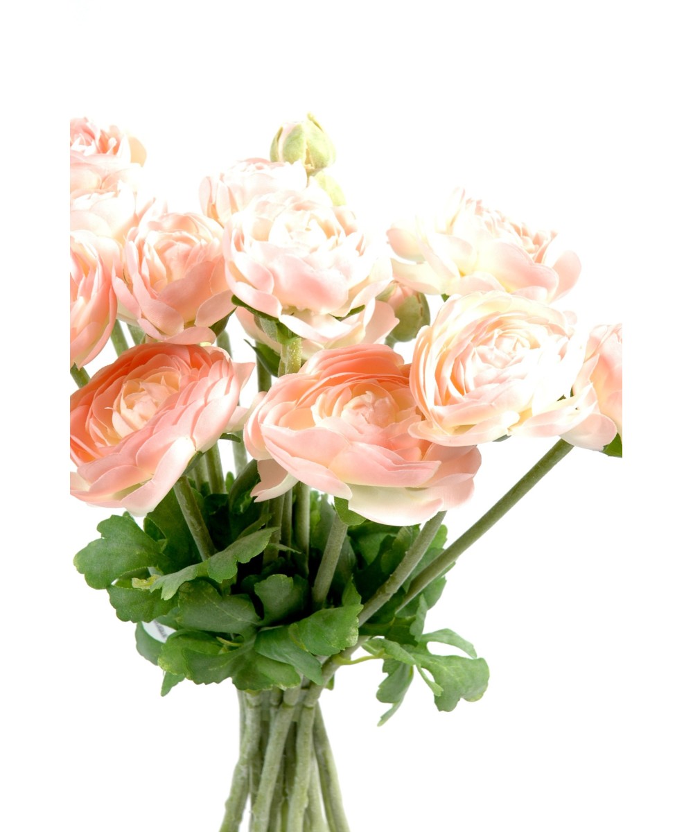 BOUQUET RANUNCULUS (Buttercup) (Net promotional price)