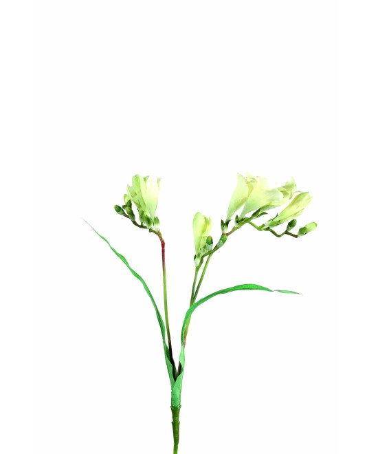 Artificial Freesia