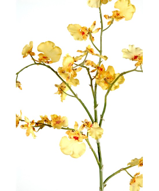 Kunstontsiidium hiiglaslik