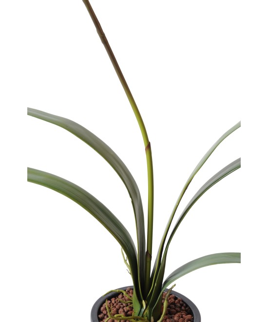 Kunstlik tsümbiidium
