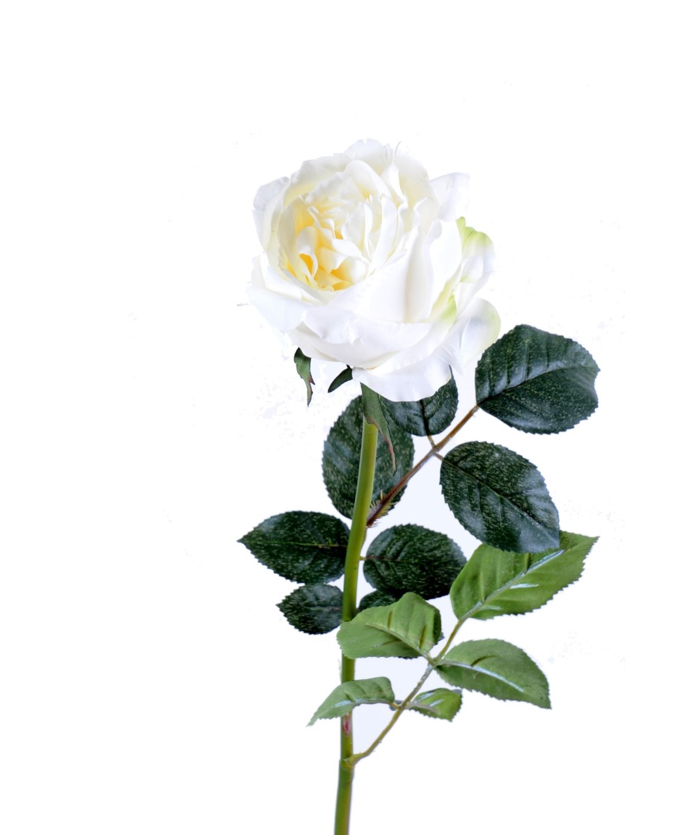 Artificial rose ENGLISH
