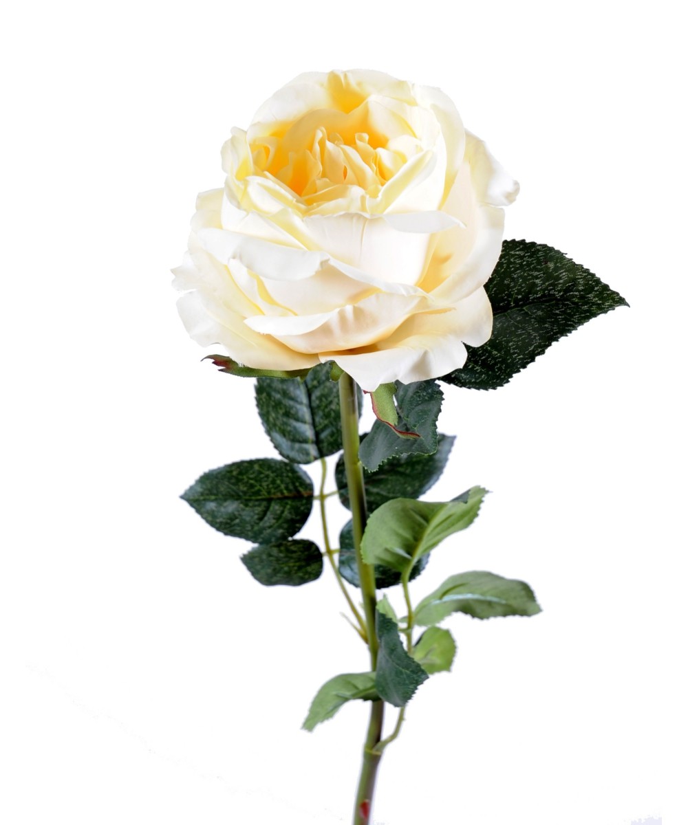 Artificial rose ENGLISH