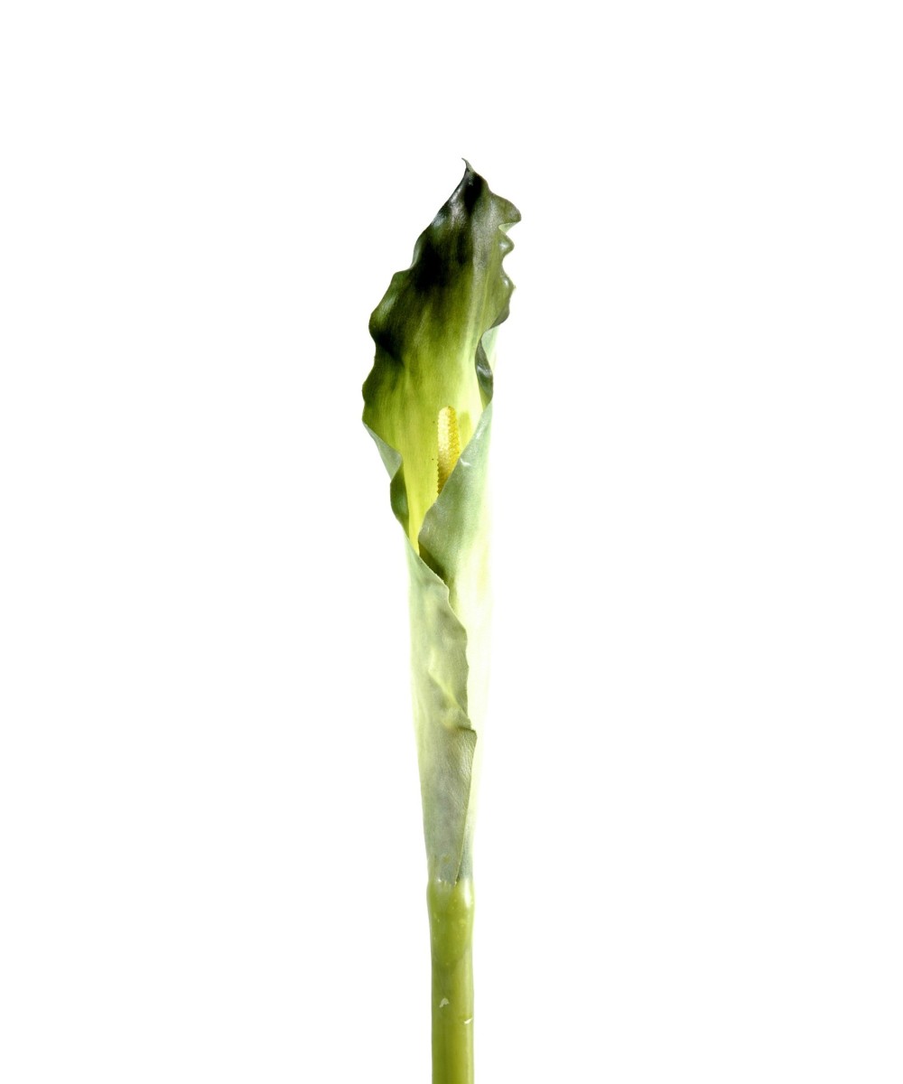Artificial calla XL (ARUM)