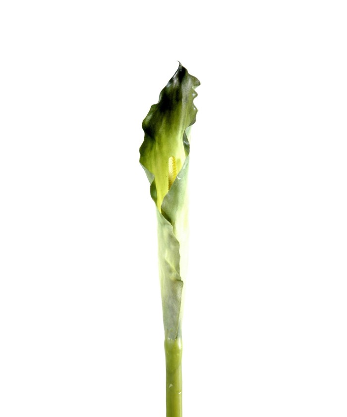 Artificial calla XL (ARUM)