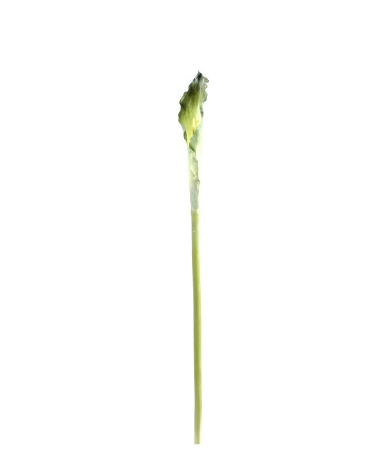 Artificial calla XL (ARUM)