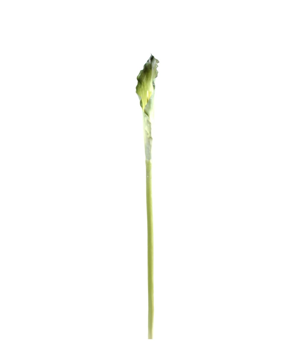 Kunstlik kalla XL (ARUM)