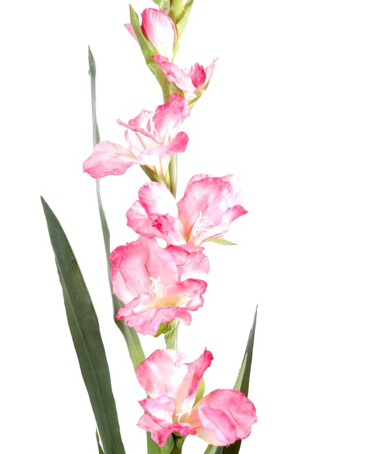 Artificial gladiolus