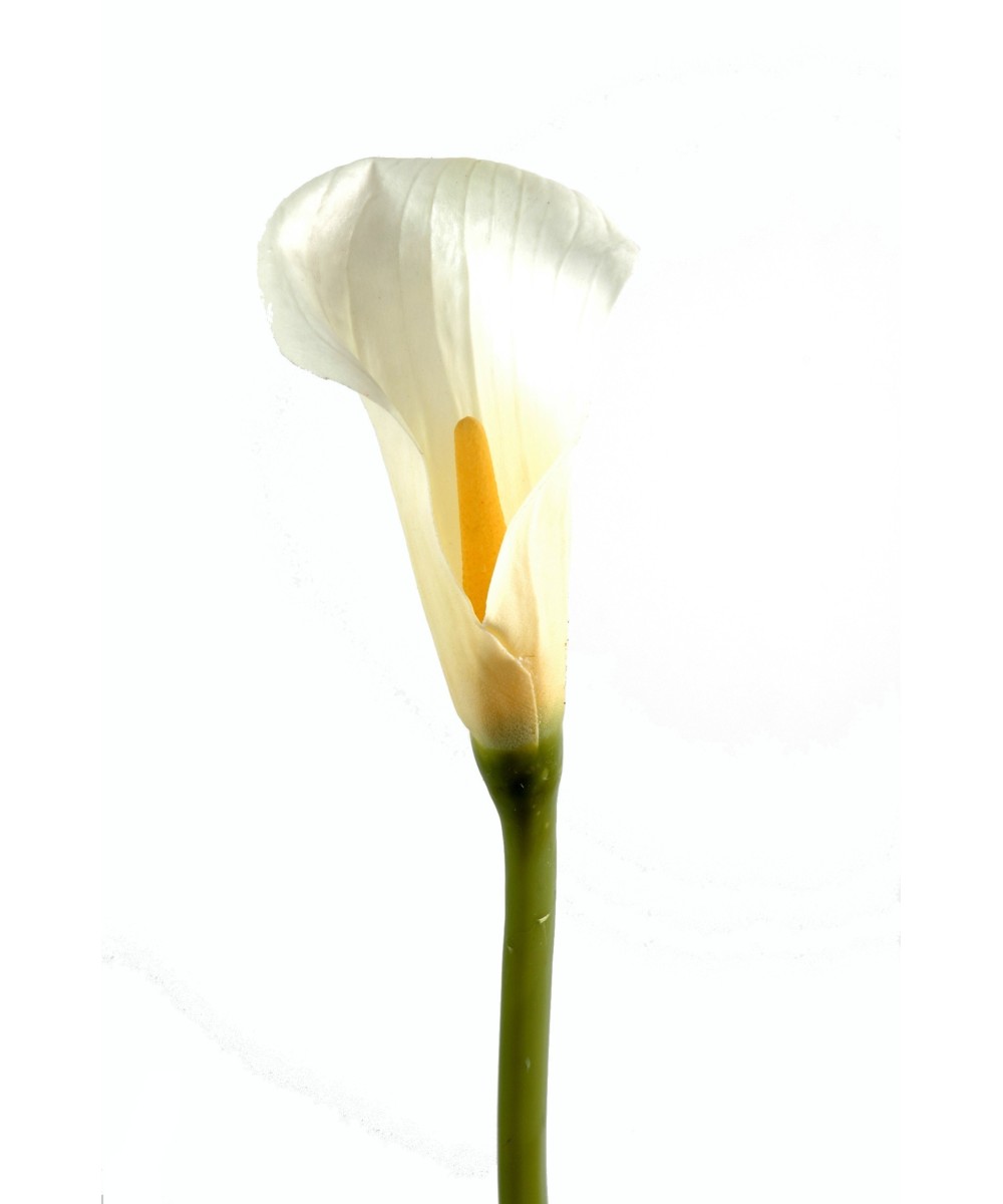 Kunstlik kalla LILY