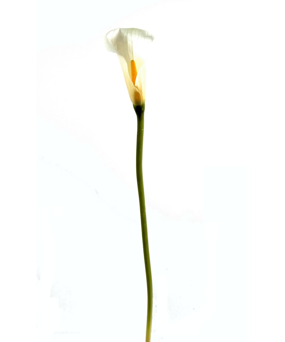 Kunstlik kalla LILY