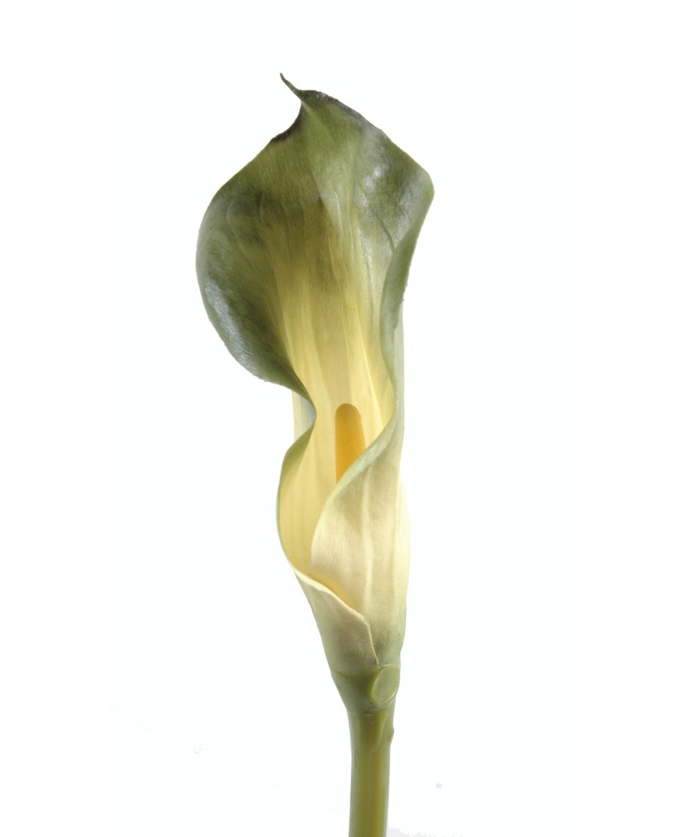 Kunstlik kalla LILY