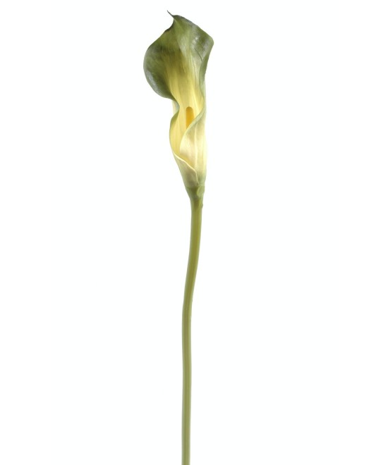Kunstlik kalla LILY