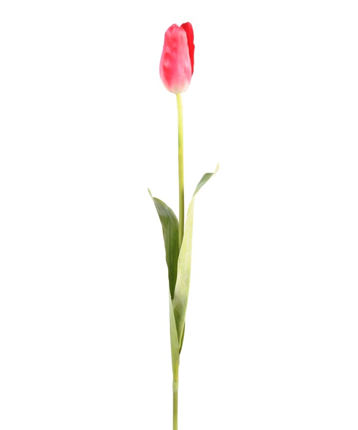 Kunstlik tulp