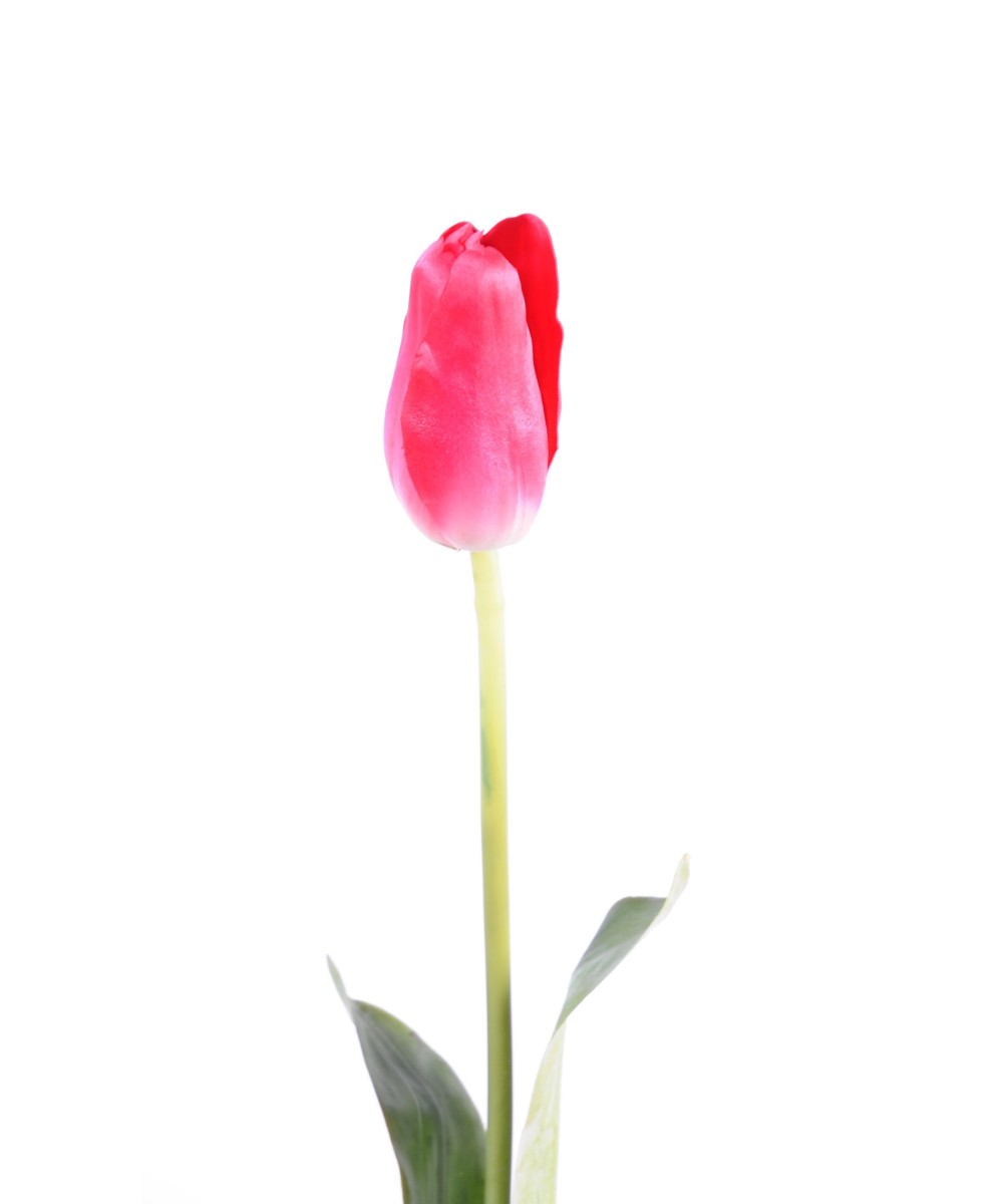 Artificial tulip