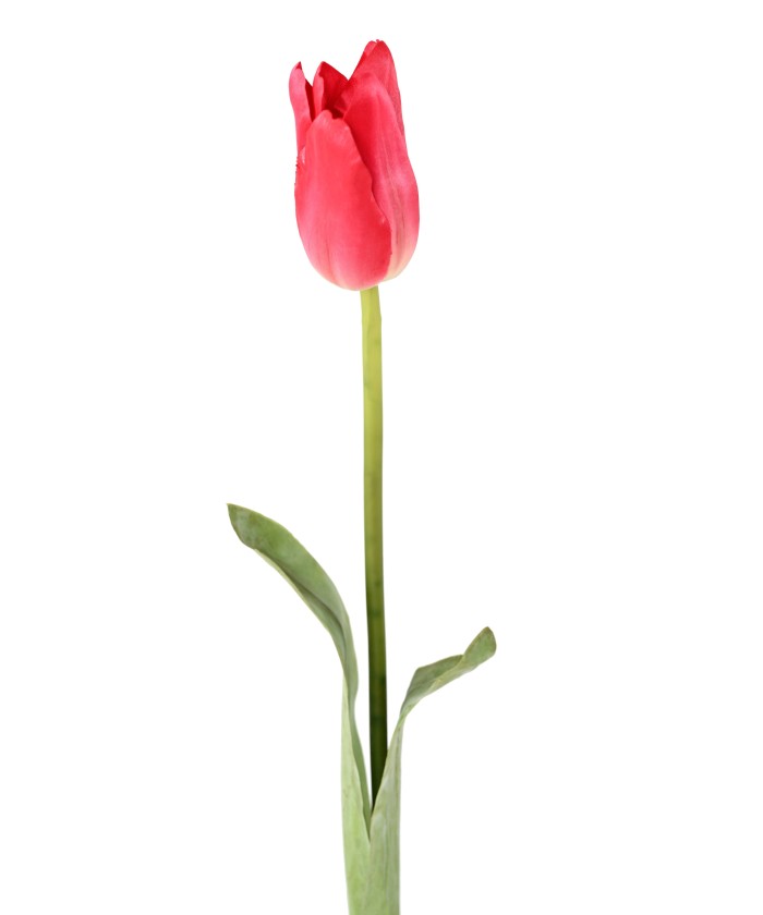 Artificial tulip