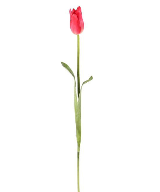 Artificial tulip