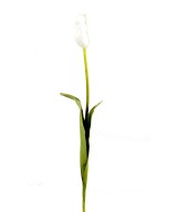 Artificial tulip