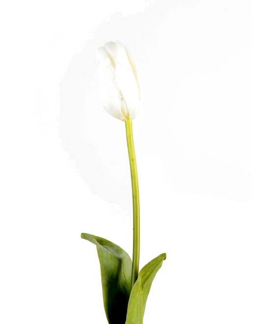 Artificial tulip