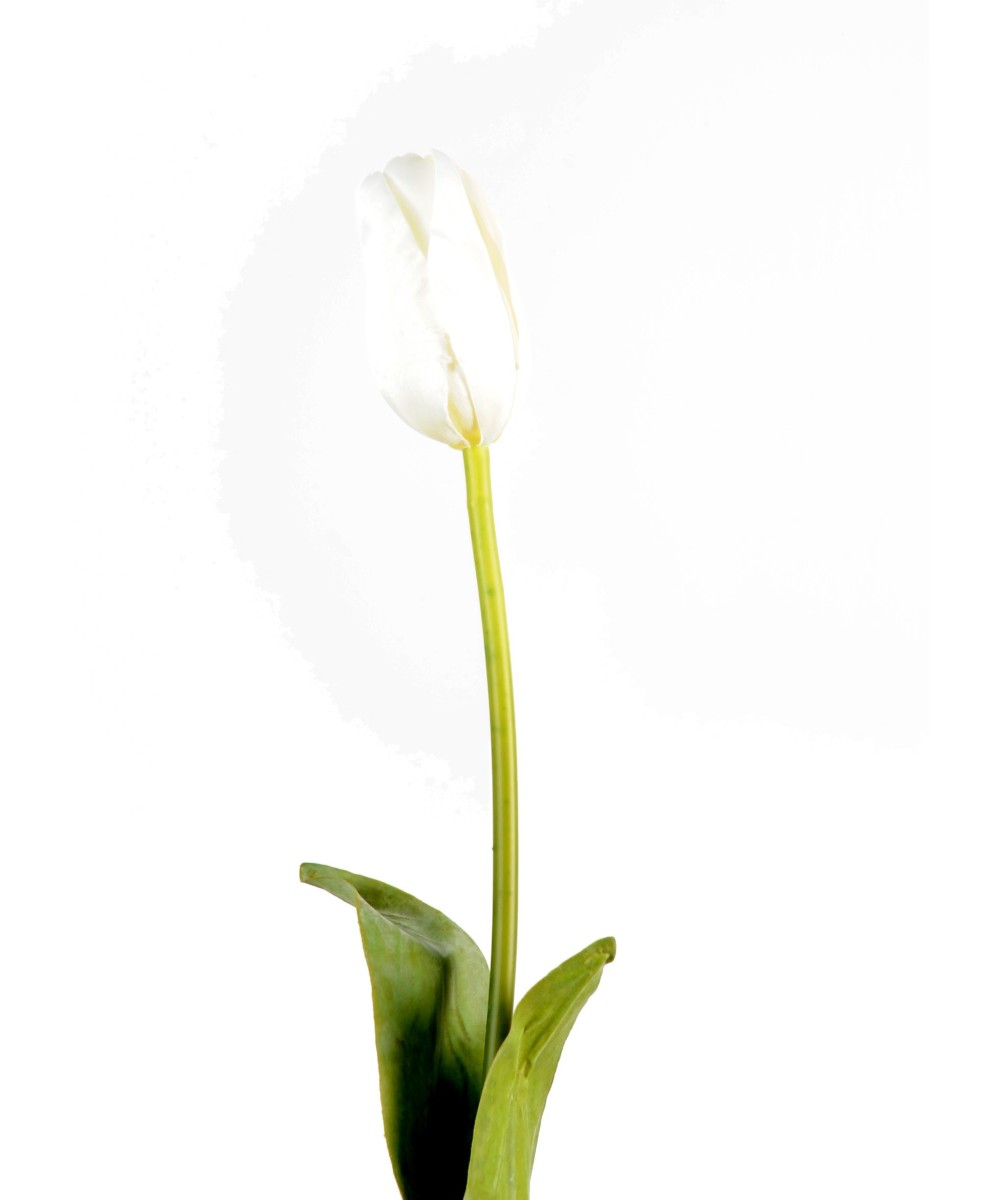 Kunstlik tulp