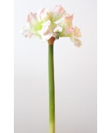 Artificial amaryllis stem 3f