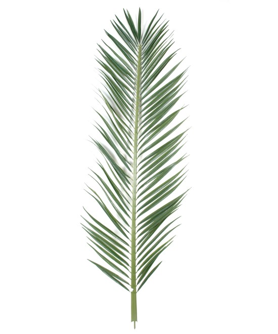 Artificial foliage MASCARENA PALM TREE