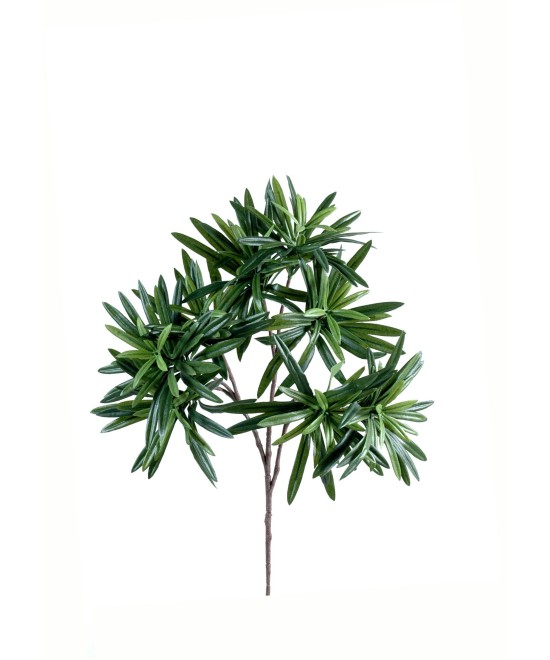 Kunstlik Podocarpus dekoratiivoks *240