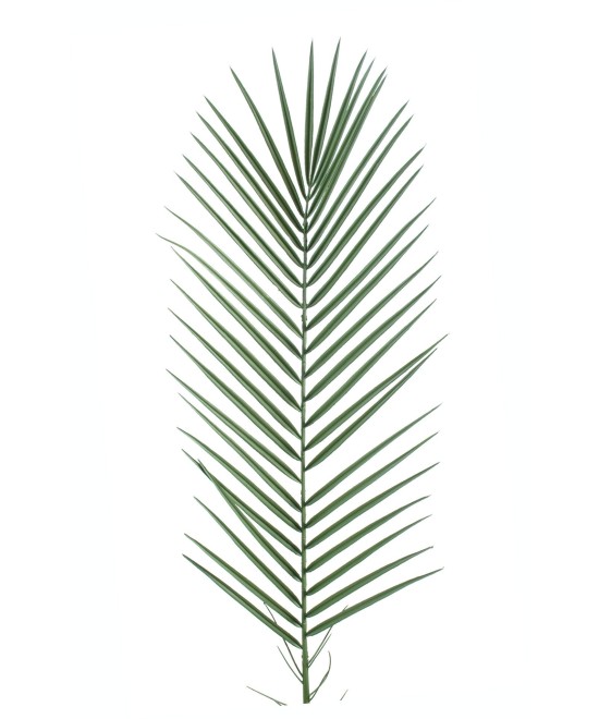 Artificial Phoenix PALM PLASTIC SM