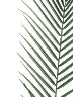 Artificial Phoenix PALM PLASTIC SM