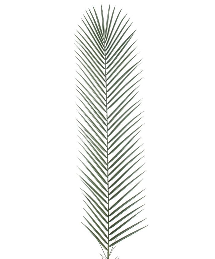 Kunstlik plast Fööniksipalm LM