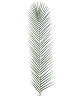 Kunstlik plast Fööniksipalm LM
