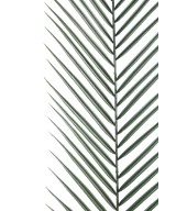 Artificial PLASTIC Phoenix PALM LM