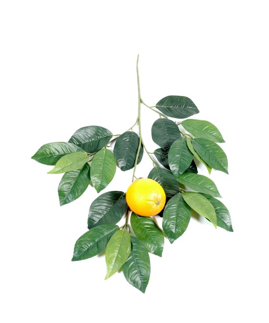 Kunstapelsinipuu dekoratiivoks AND FRUIT LM