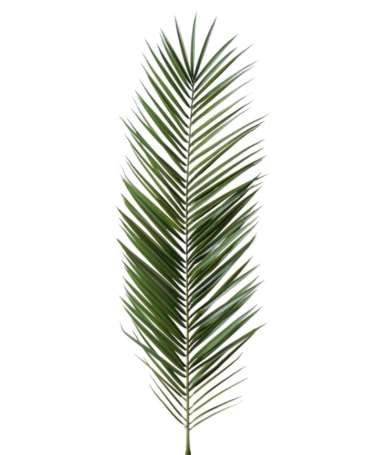 Artificial foliage PHOENIX CANARY ISLAND DATE PALM