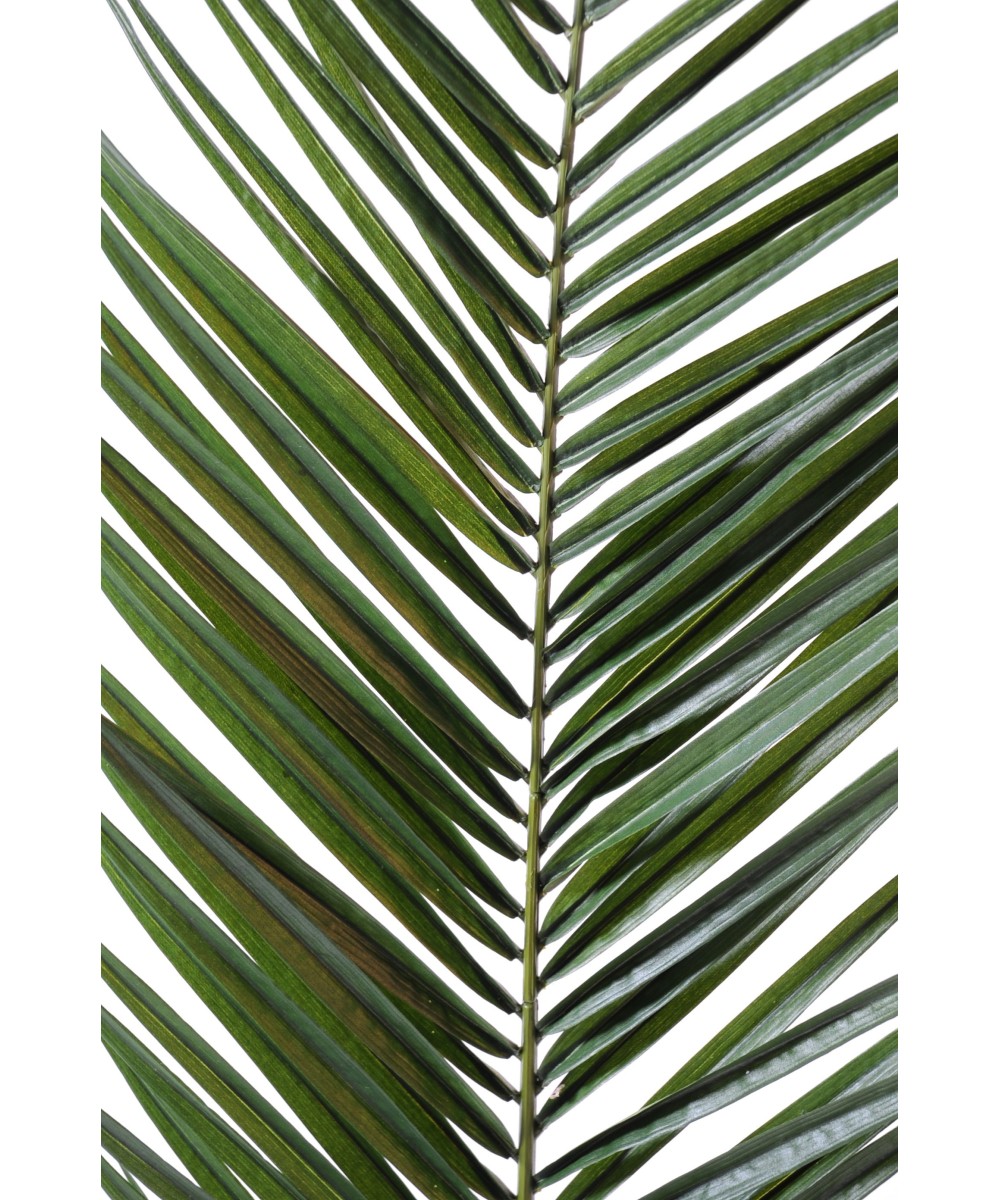 Kunstlik lehestik PHOENIX KANAARI SAARTE DATLIPALM