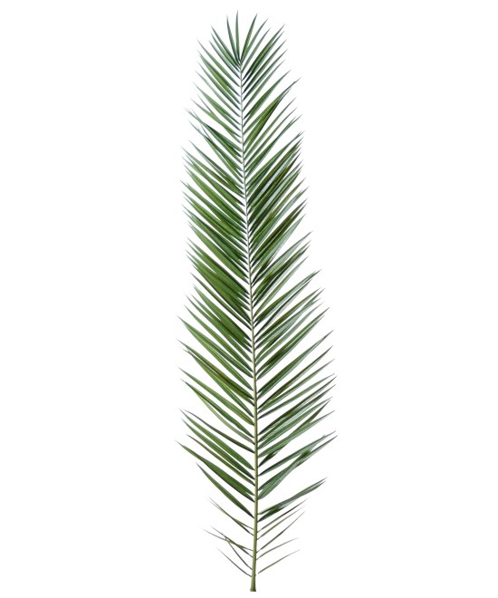 Artificial foliage PHOENIX CANARY ISLAND DATE PALM