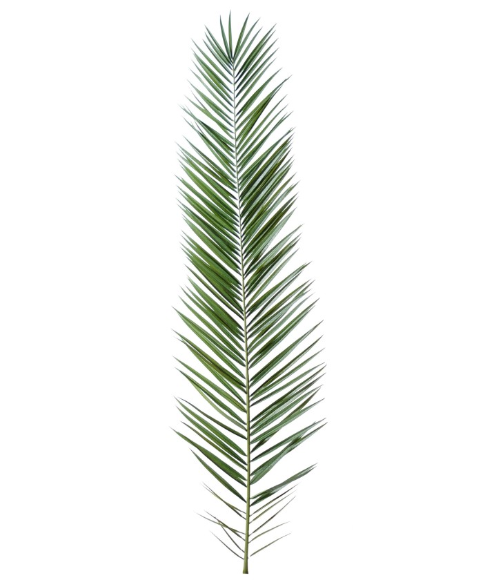 Artificial foliage PHOENIX CANARY ISLAND DATE PALM