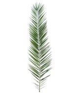 Artificial foliage PHOENIX CANARY ISLAND DATE PALM