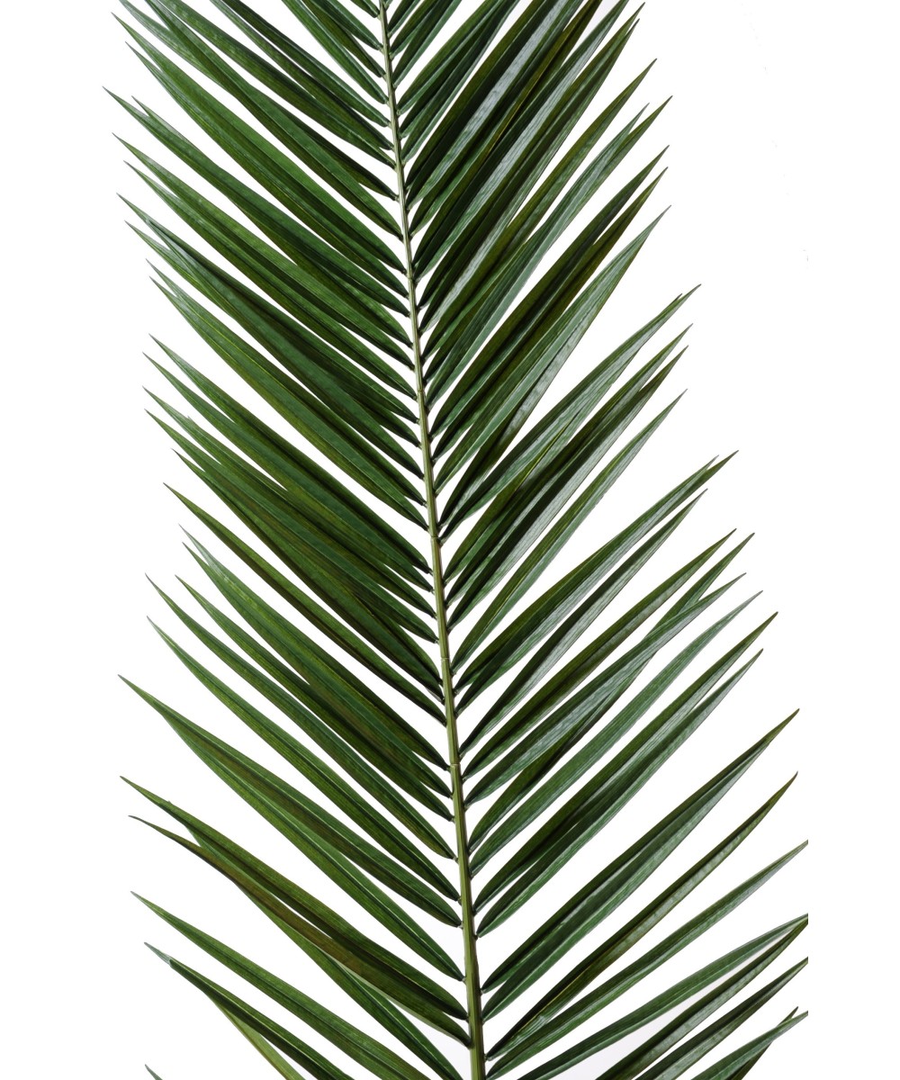 Artificial foliage PHOENIX CANARY ISLAND DATE PALM