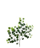 Artificial birch NEW *70