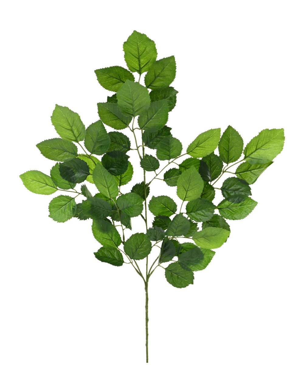 Artificial beech SPRAY *59