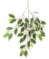 Kunstlik fikussi RASVASPRAY *48