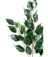 Kunstfikus EXOTICA dekoratiivoks *55