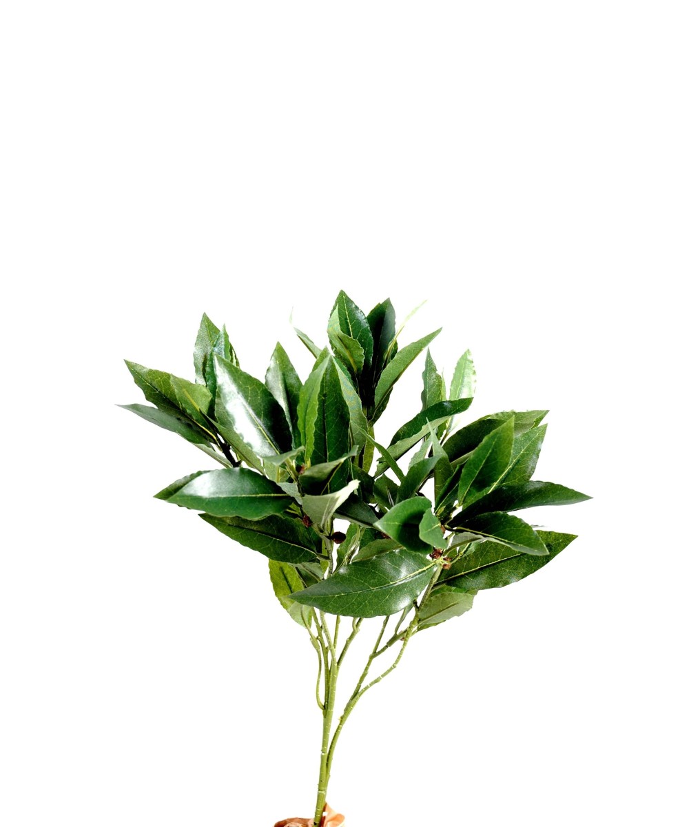 Kunstloorber *74