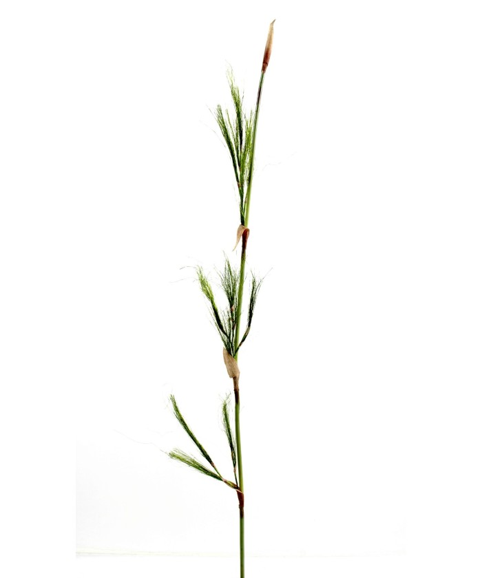 BAMBOO vars (Soodushind)