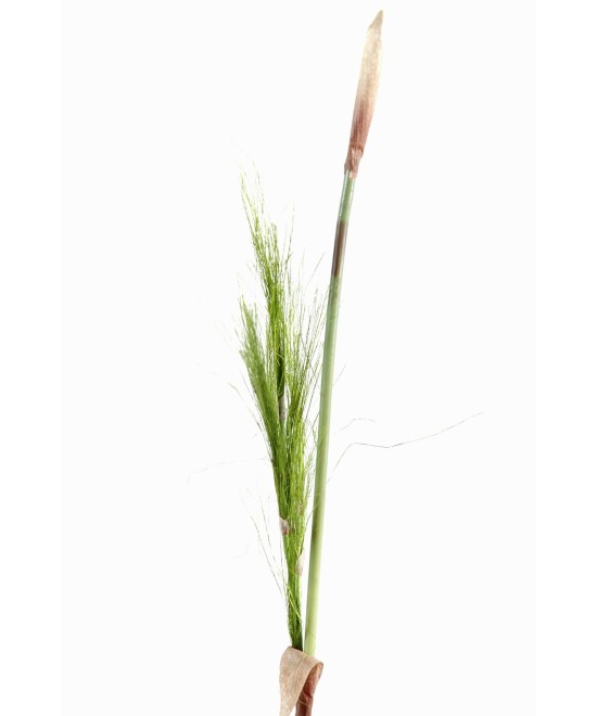 BAMBOO vars (Soodushind)