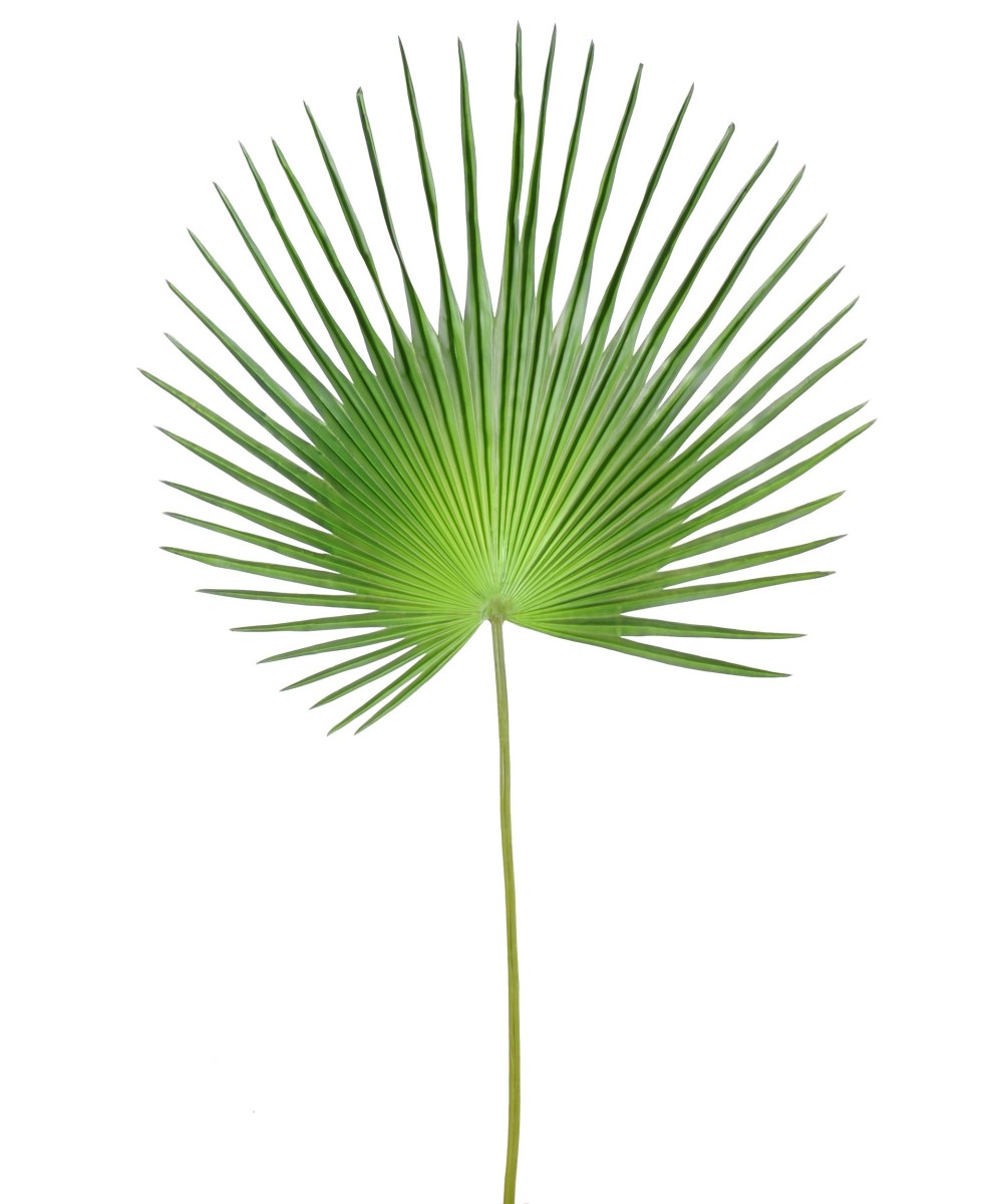 Kunstlik lehestik palm puu CAMERUS