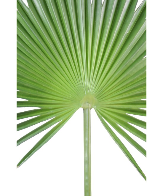 Artificial foliage PALM TREE CAMERUS