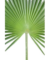 Kunstlik lehestik palm puu CAMERUS